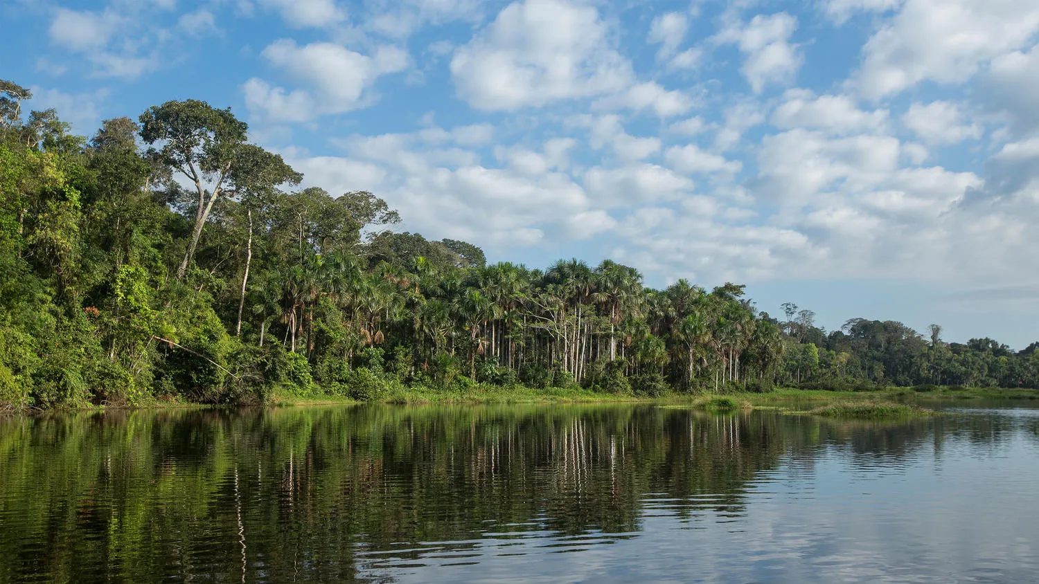 TOUR TAMBOPATA AMAZONÍA - 4 DÍAS - Wonderful Machu Picchu Reservation