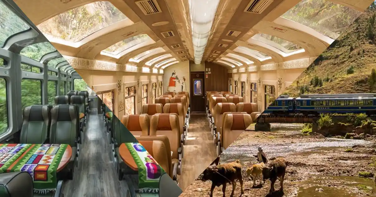 Interior y exterior de trenes turísticos con techo panorámico
