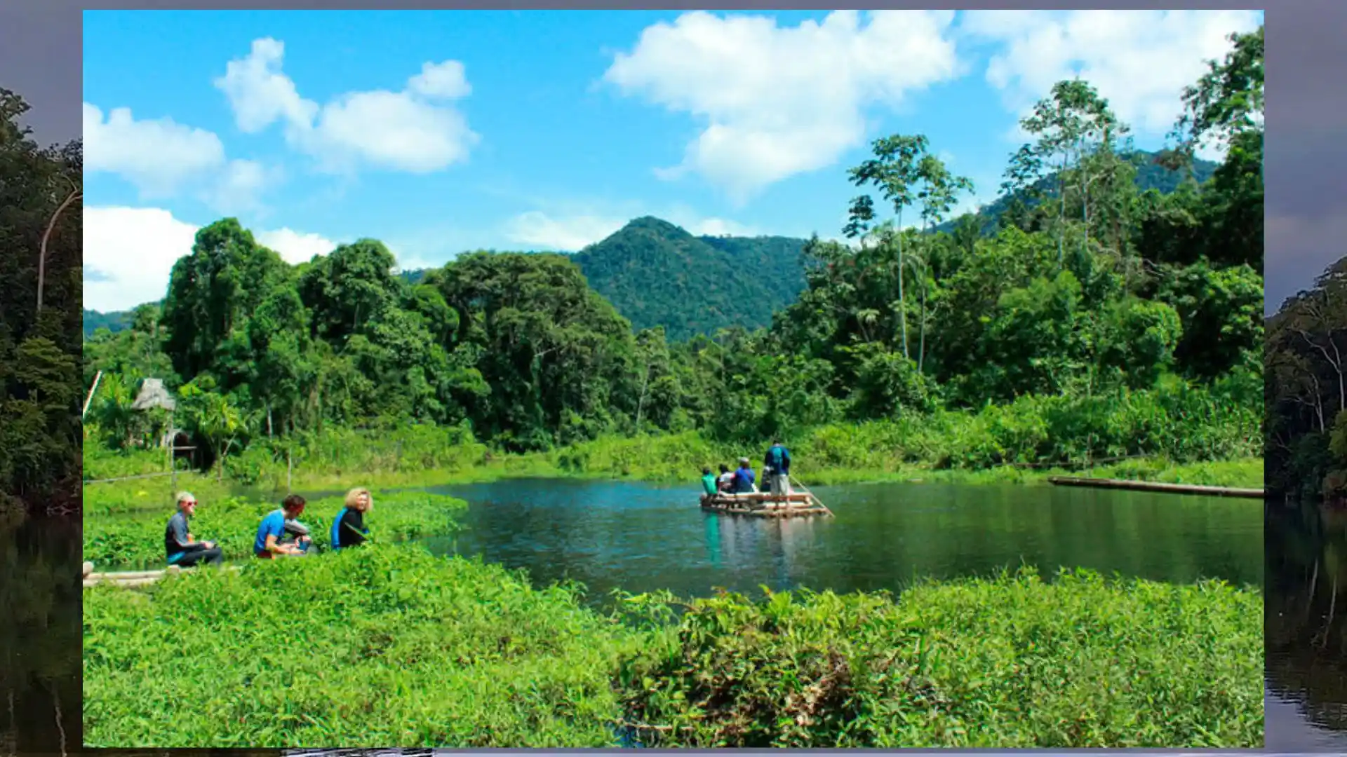 Amazon Peruvian Forest Tour Peru in June - Manu National Park ...