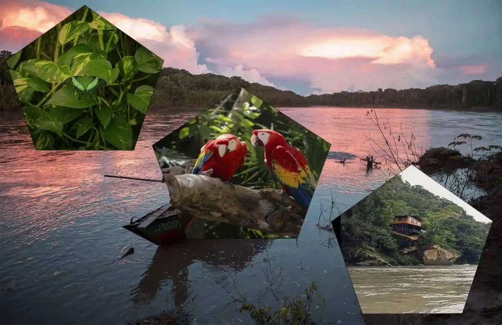 Amazon Rainforest Tour – What Manu Is and the Tours Available ...